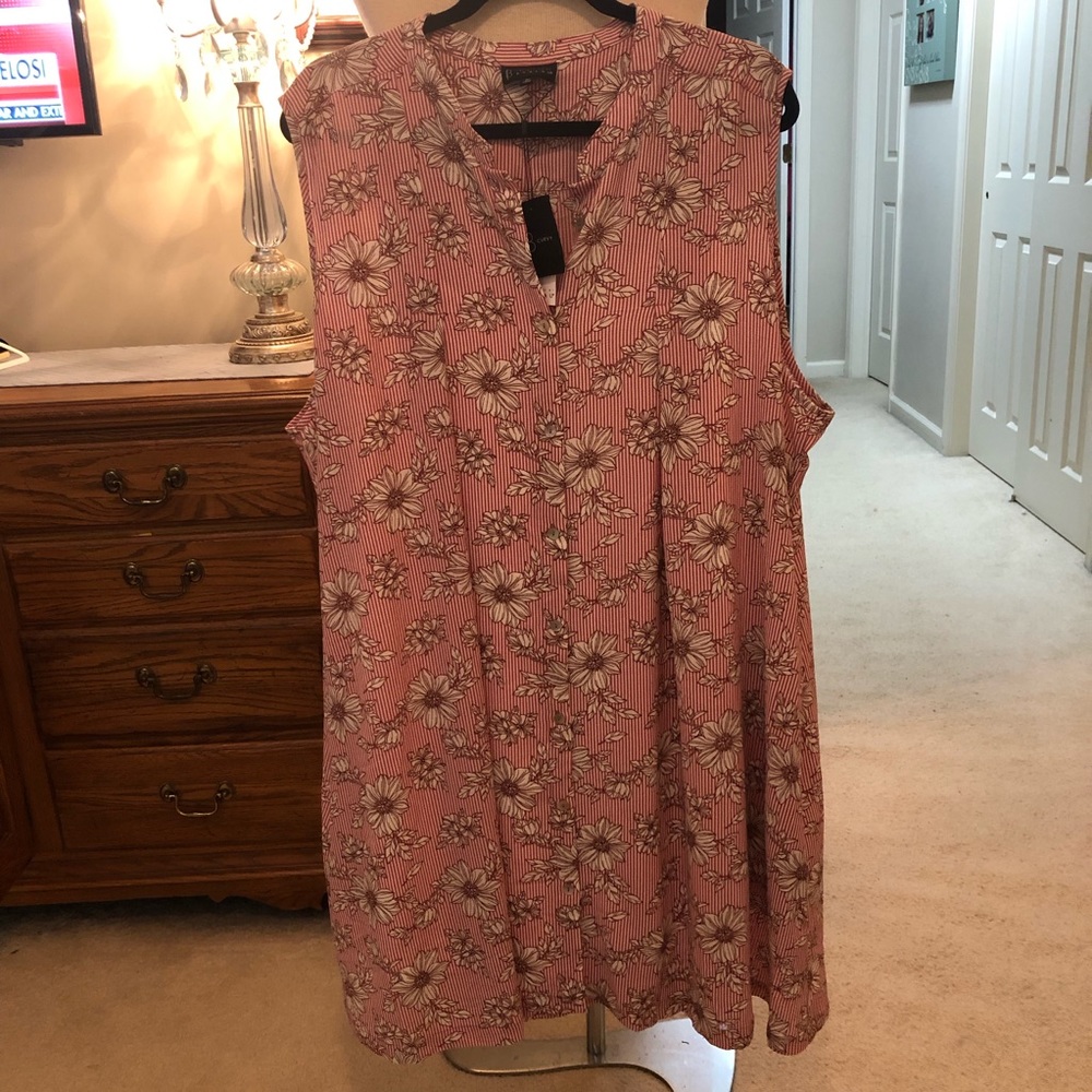 Sleeveless shift dress 2x